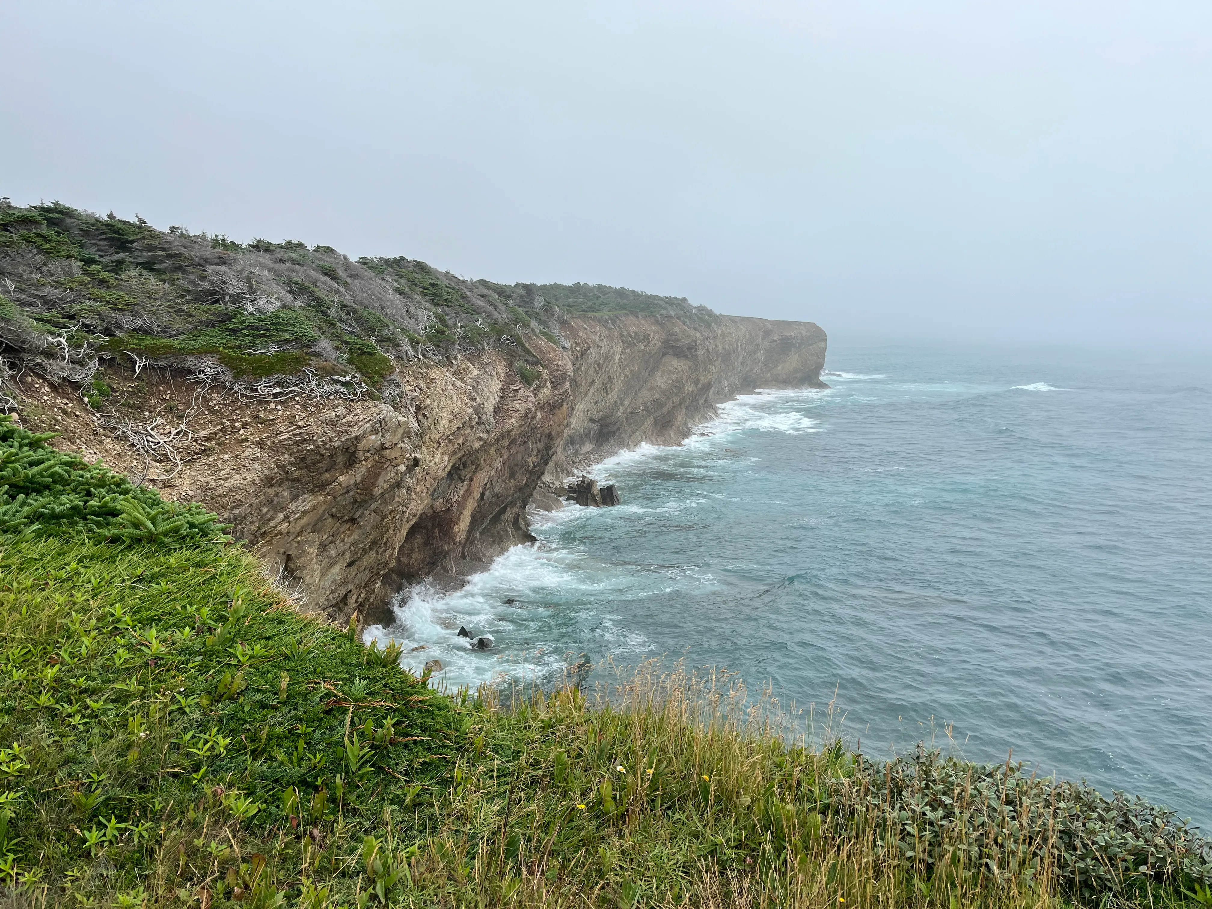 Steilküste am Cap St. George