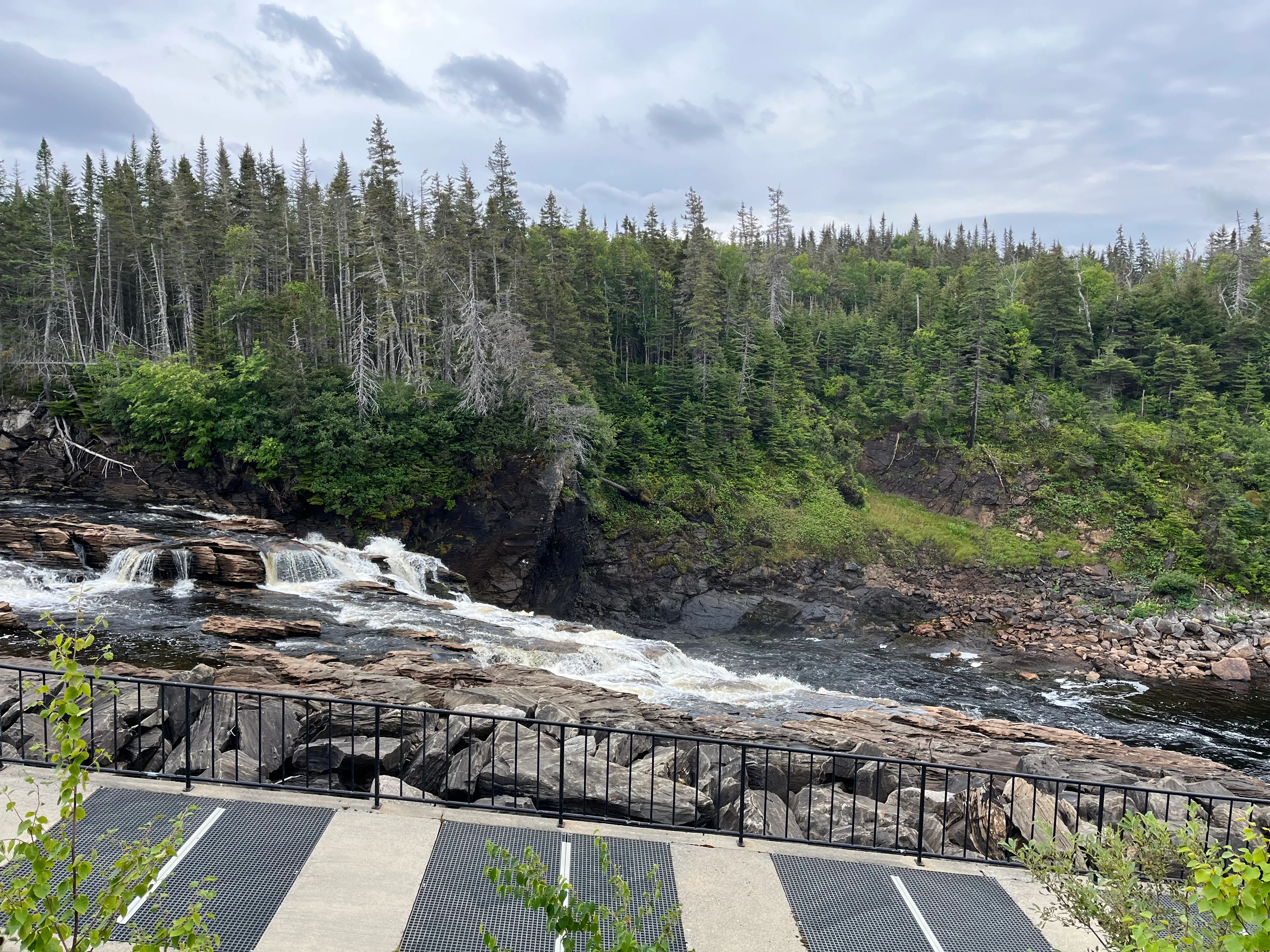 Fischtreppe in Bild 2